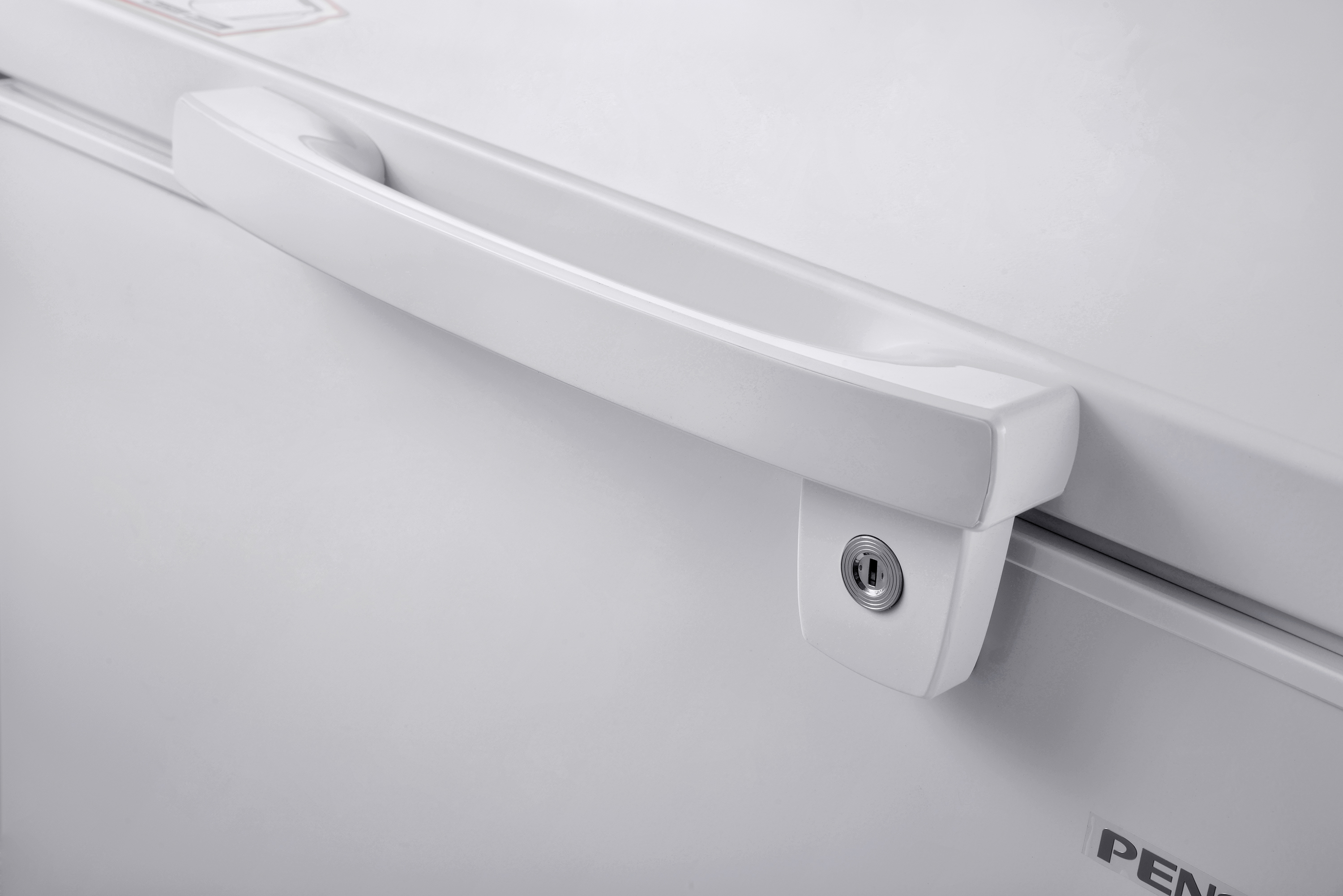 Pensonic Chest Freezer | PFZ-203